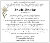 eine Anzeige