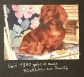 ein Bild aus dem Album